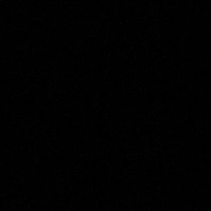 Meet your Posher, Misty